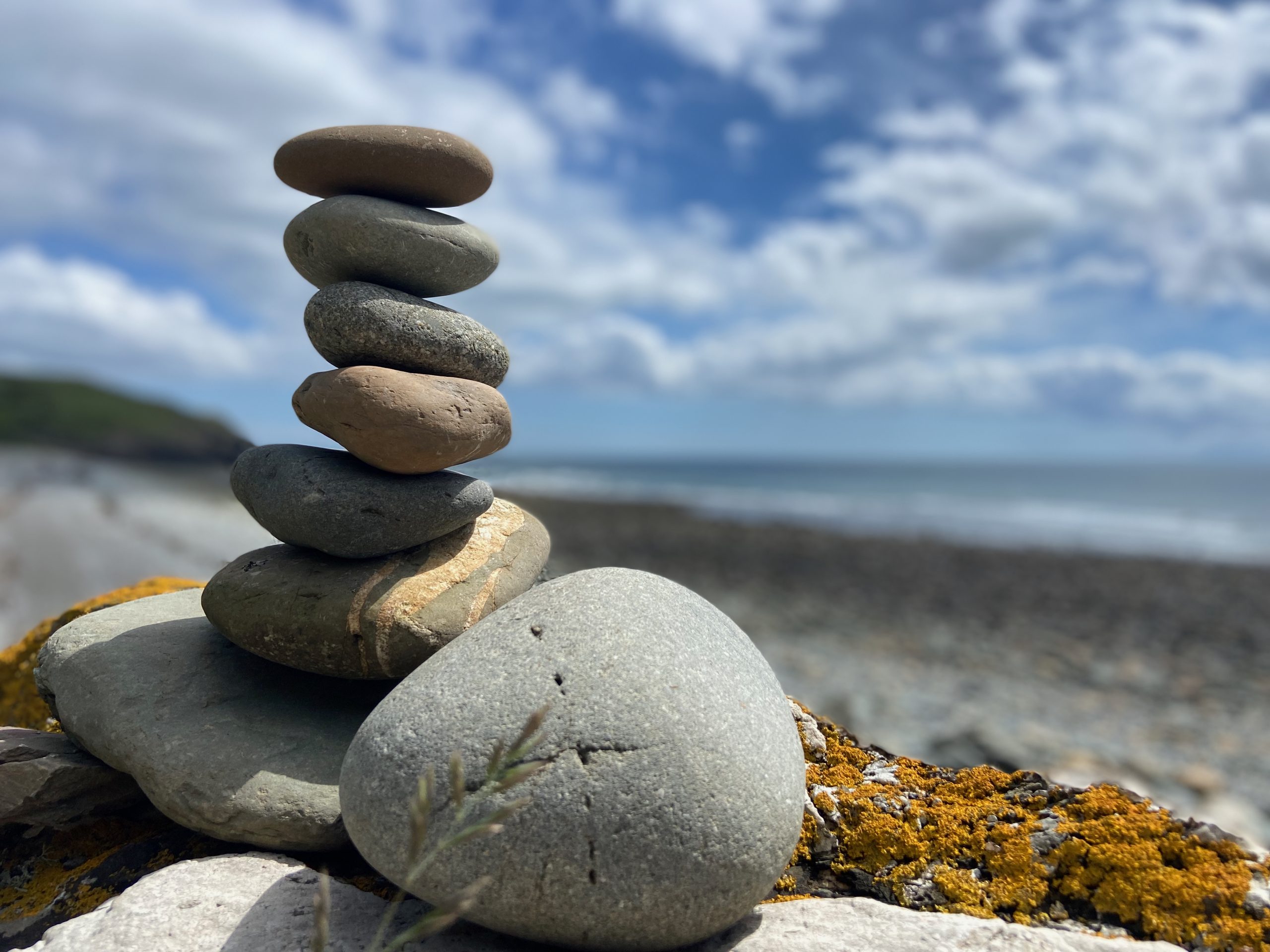 Reading the Terrain — When Expertise Contradicts Reality