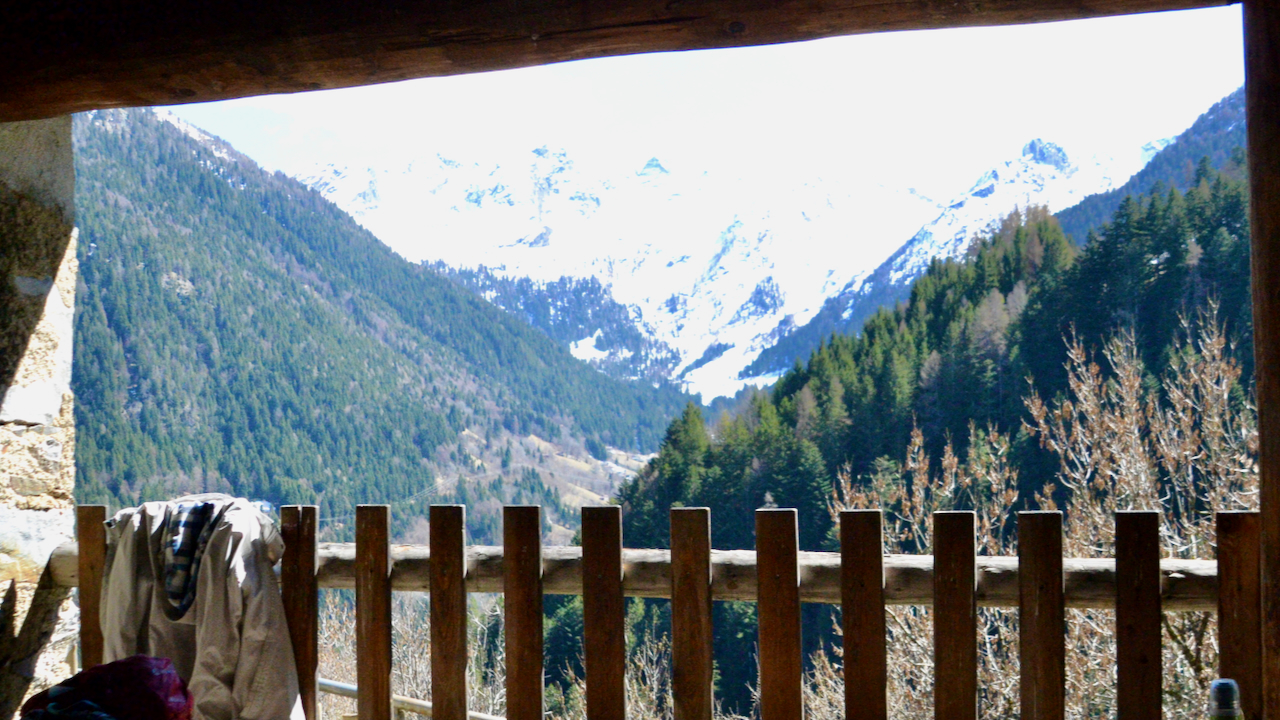 Week 13 — The Signal